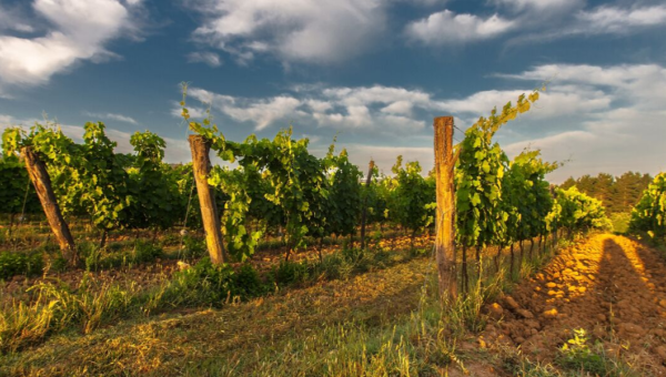 inUmbria un itinerario Slow Food