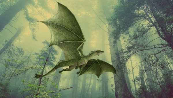 Creature fantastiche e dove trovarle