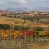 SAGRANTINO: UN VINO CHE VIENE DALLA STORIA