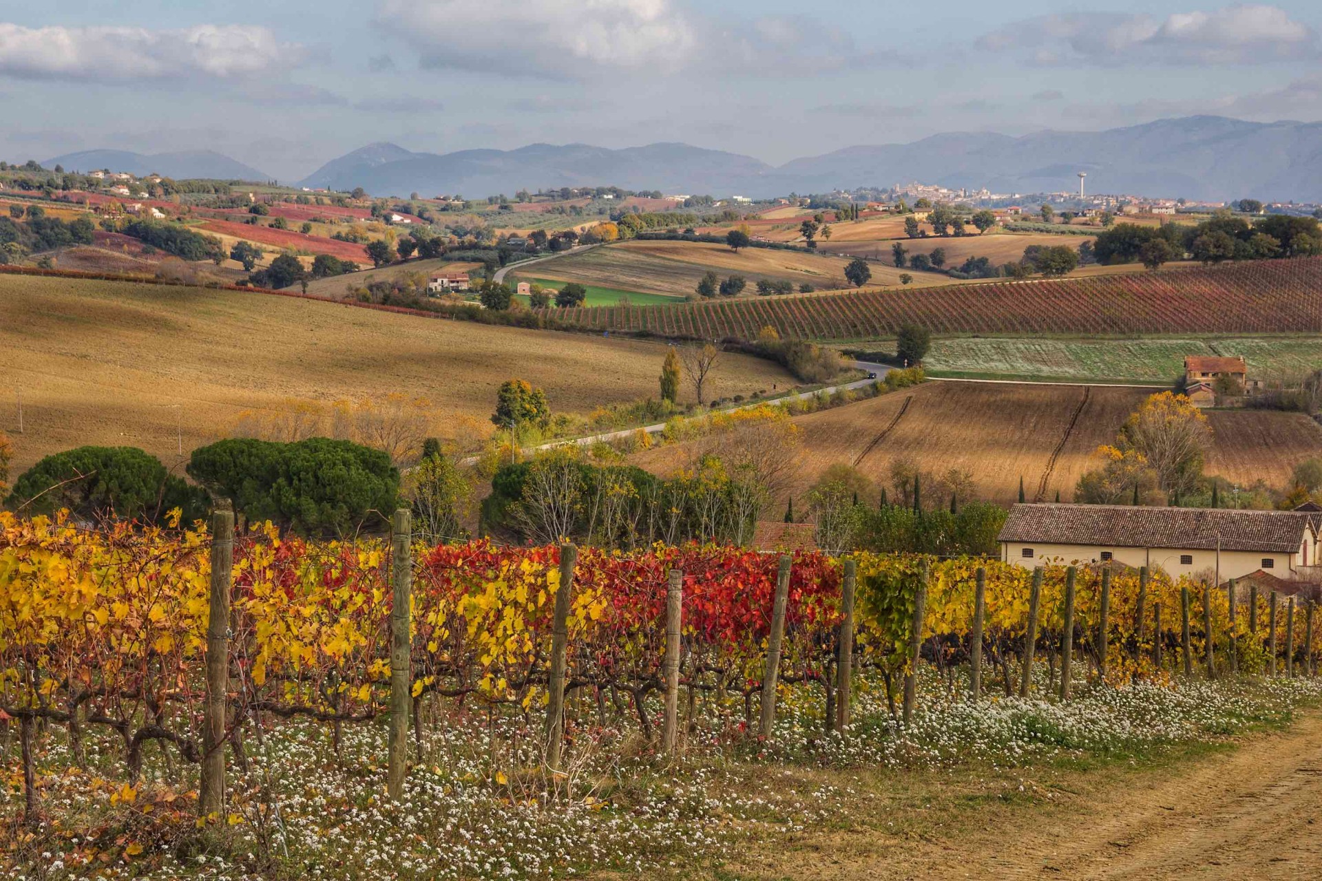 SAGRANTINO: UN VINO CHE VIENE DALLA STORIA