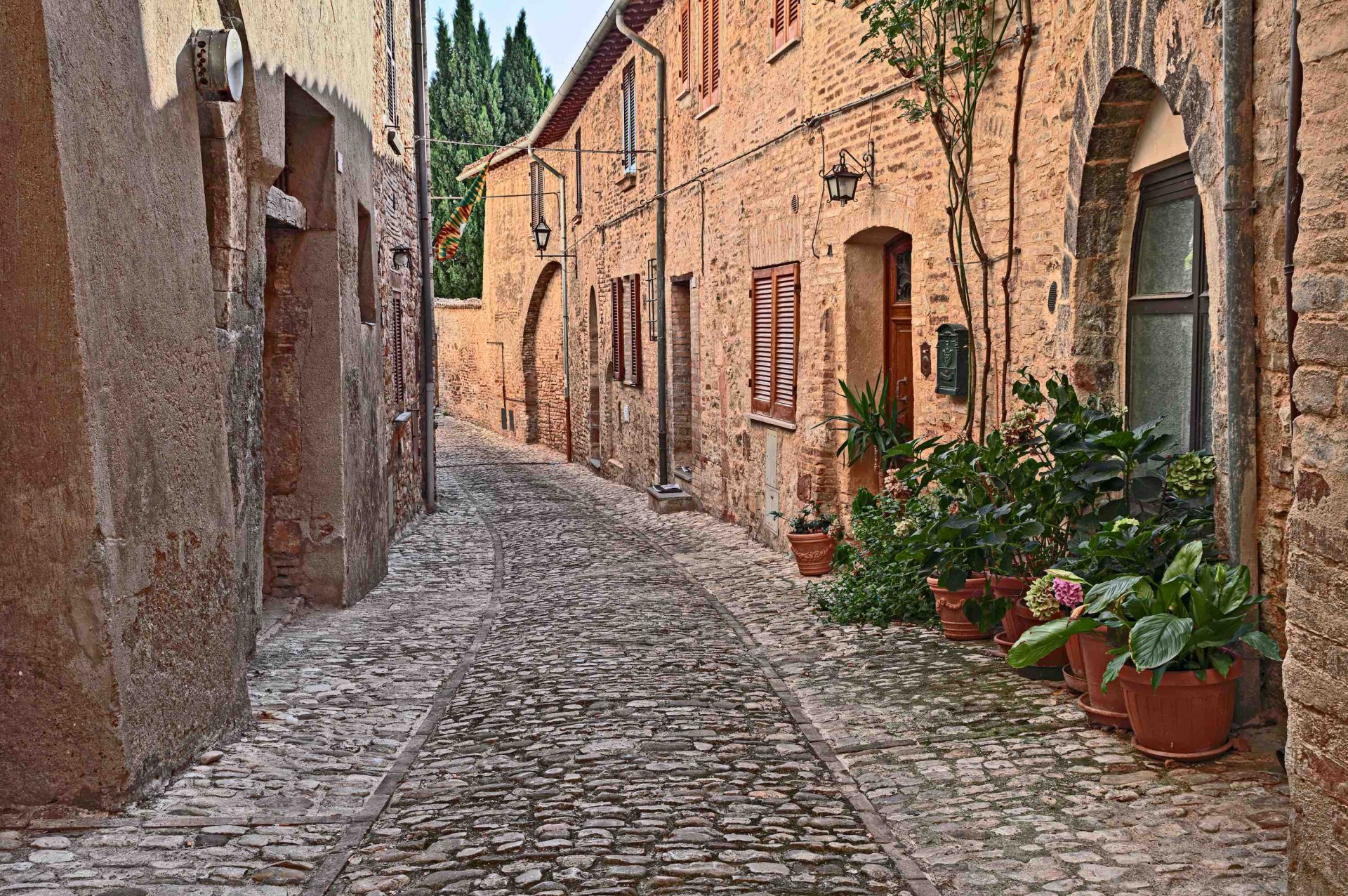 SAGRANTINO: UN VINO CHE VIENE DALLA STORIA