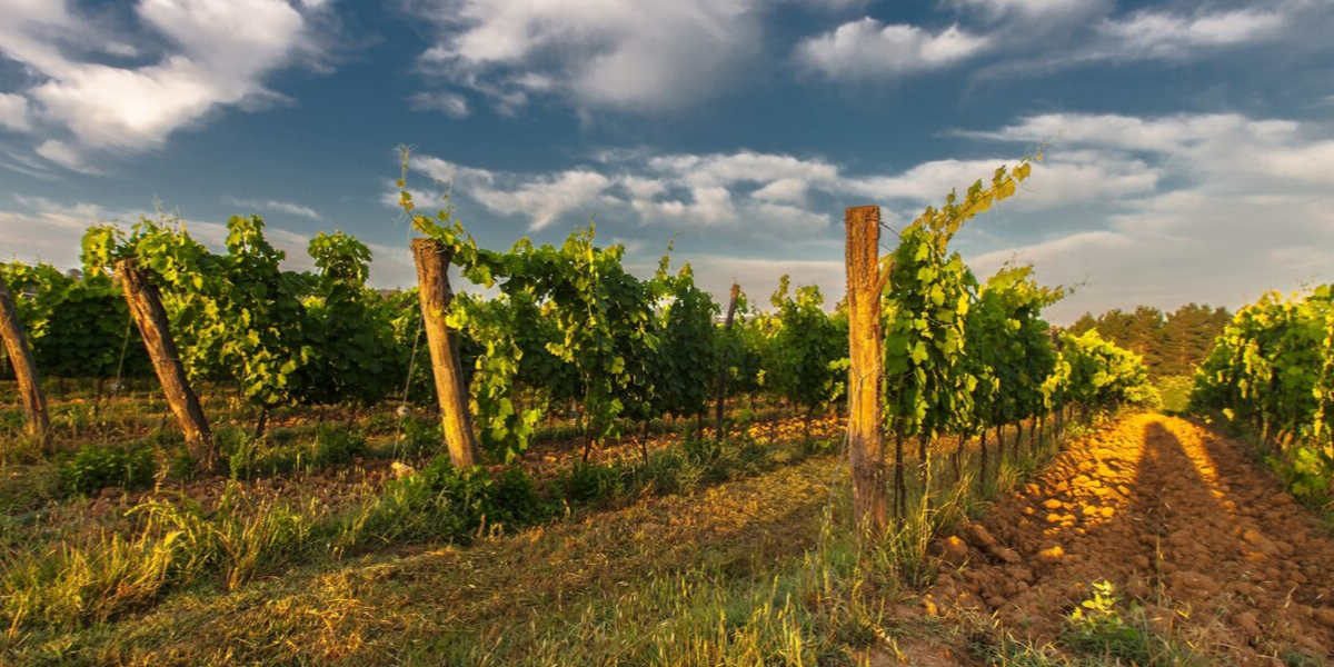 inUmbria a Slow Food itinerary