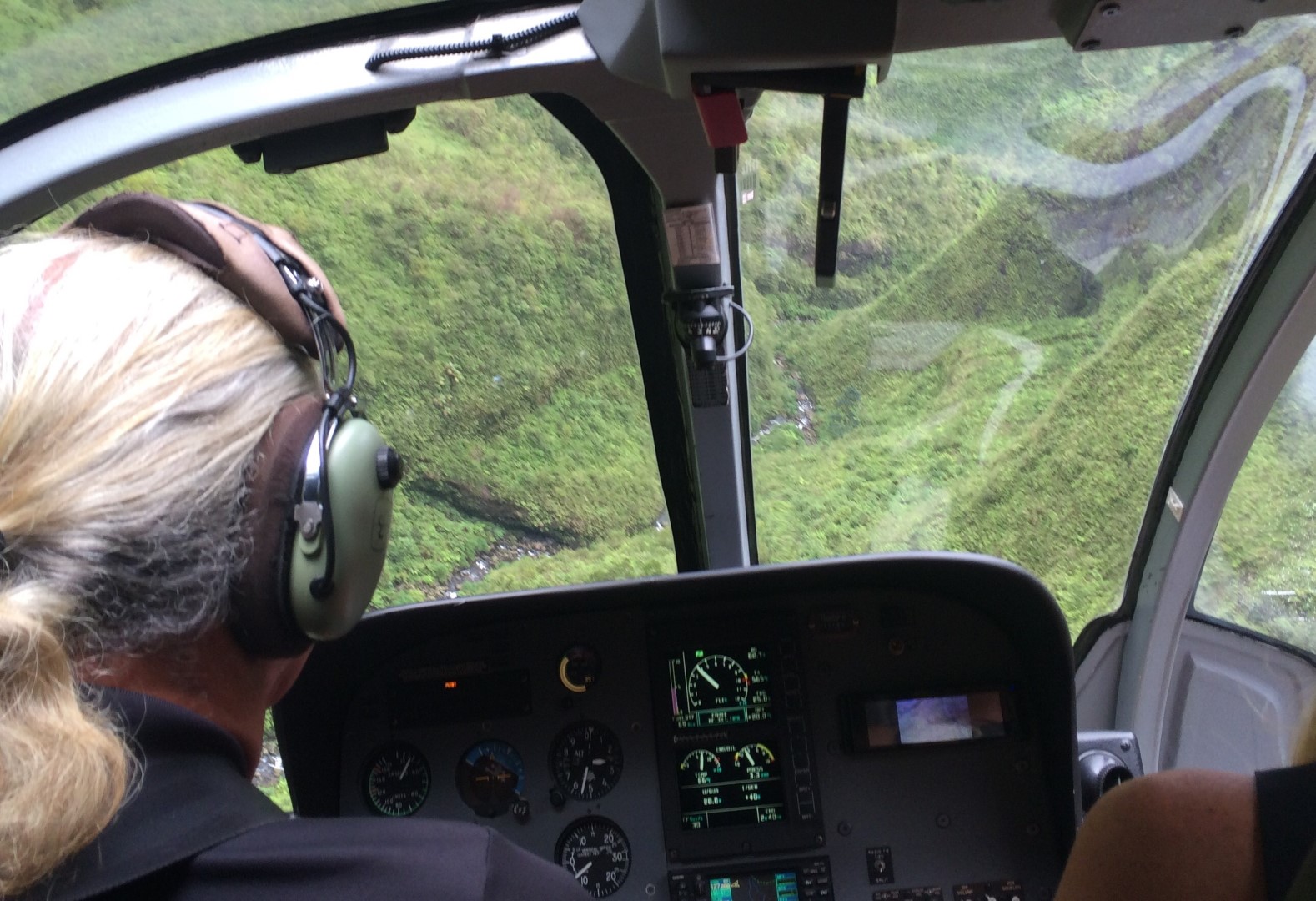 L'emozione di un volo turistico in elicottero