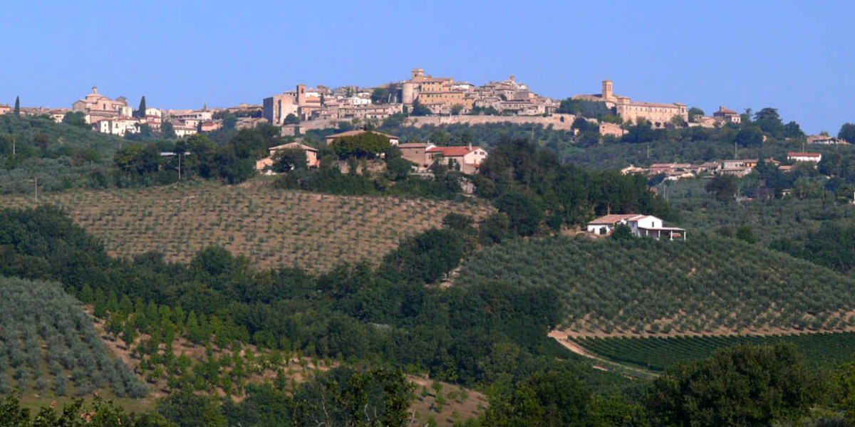 Viaggio in cucina: alla scoperta della Via di Mezzo